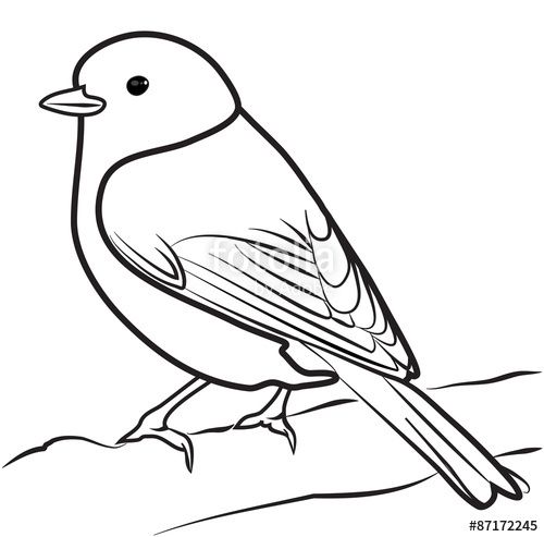 Featured image of post Bird Outline Drawing
