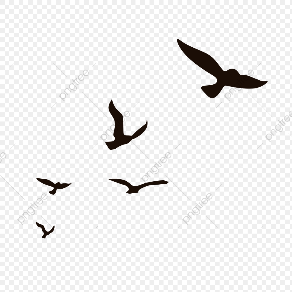 Featured image of post Bird Outline Png