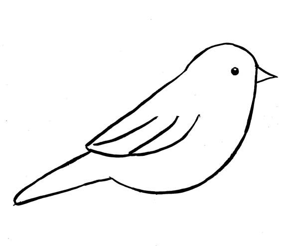 Featured image of post Bird Outline Simple