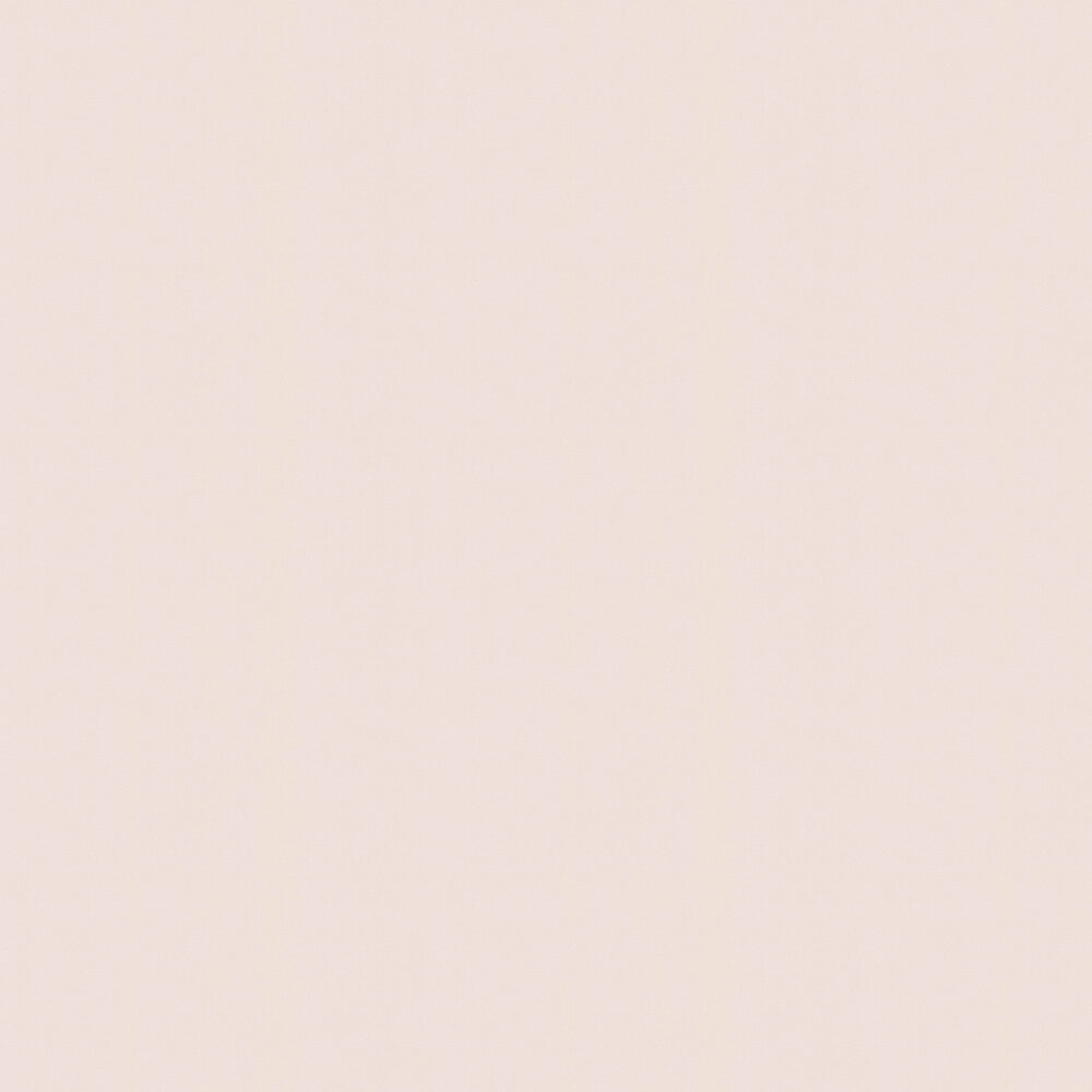 Featured image of post Blush Wallpaper Plain