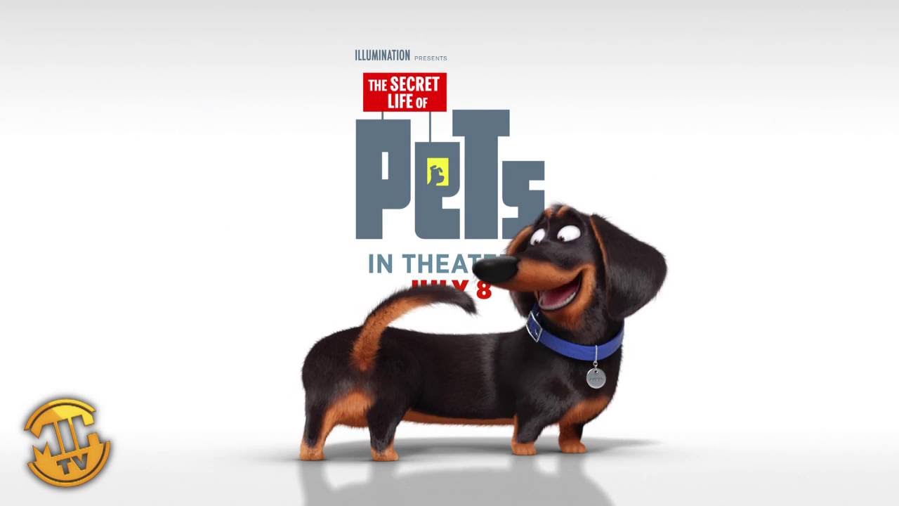 Featured image of post Buddy The Secret Life Of Pets Characters