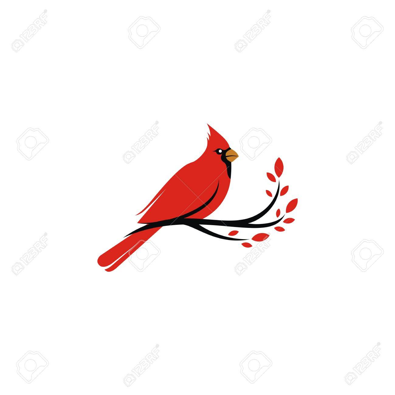 Featured image of post Cardinal Vector Image