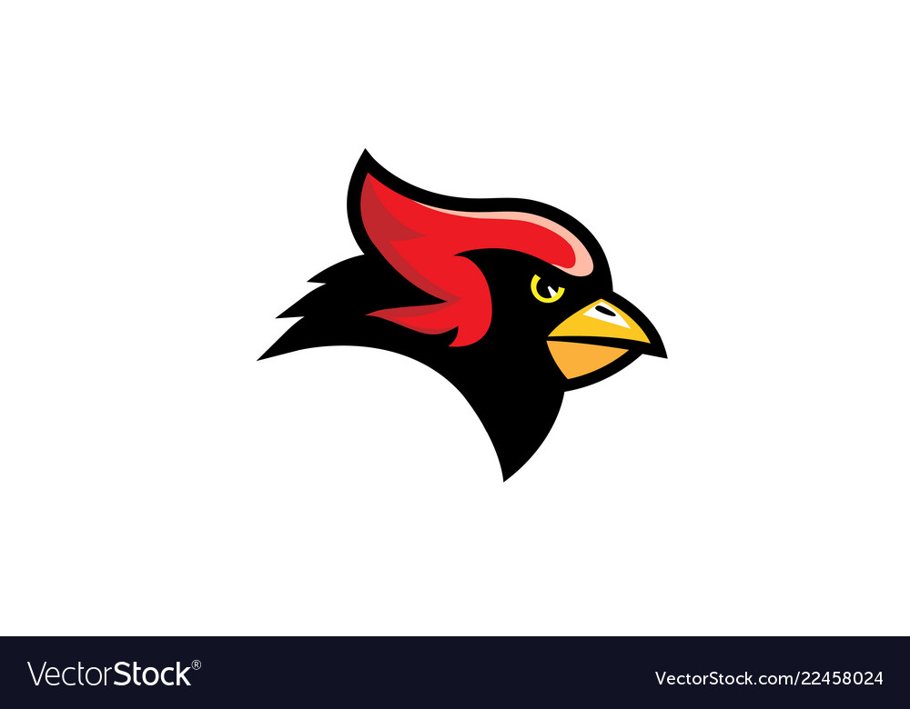 Featured image of post Cardinal Vector Logo