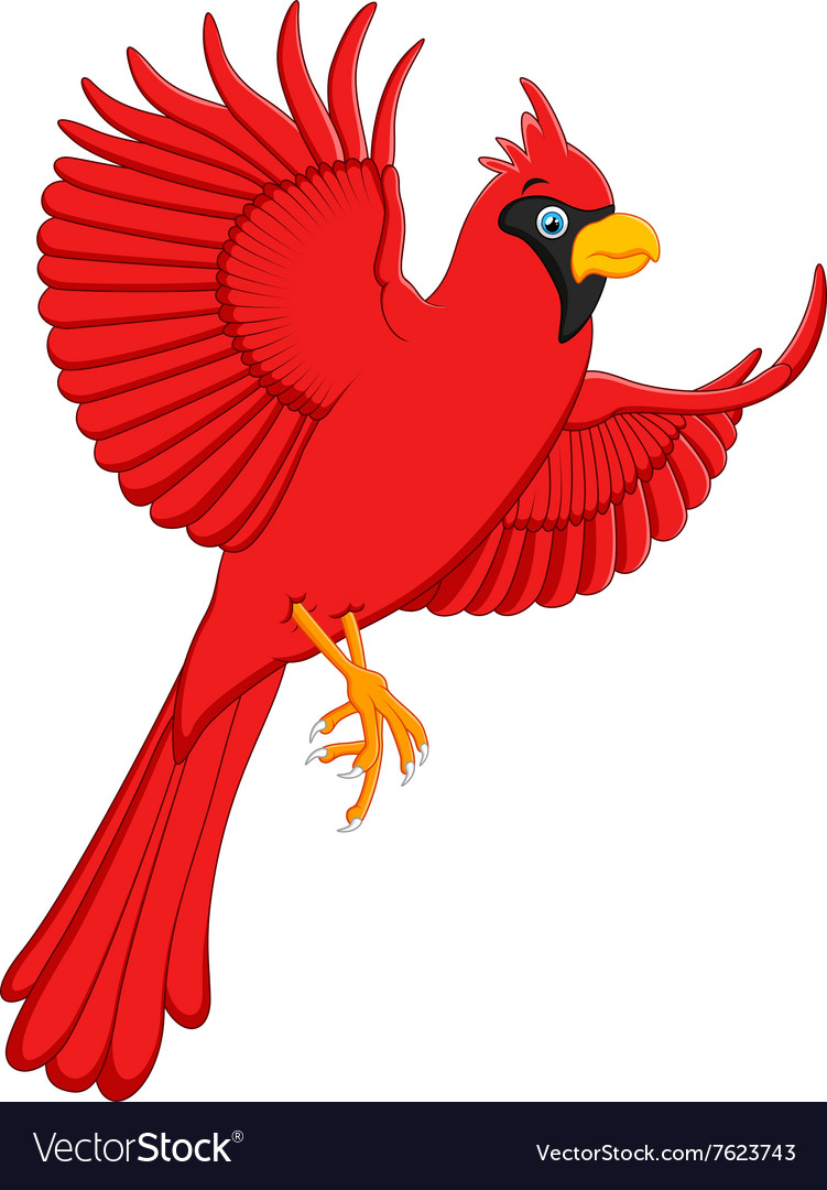 Featured image of post Cardinal Vector Png