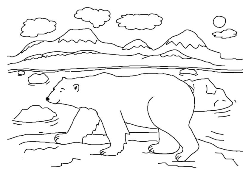 Featured image of post Cute Polar Bear Coloring Pages