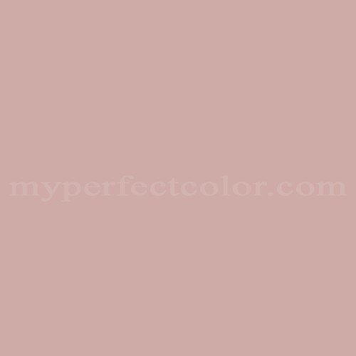 Featured image of post Dusty Rose Color Paint