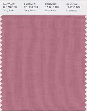 Featured image of post Dusty Rose Color Swatch