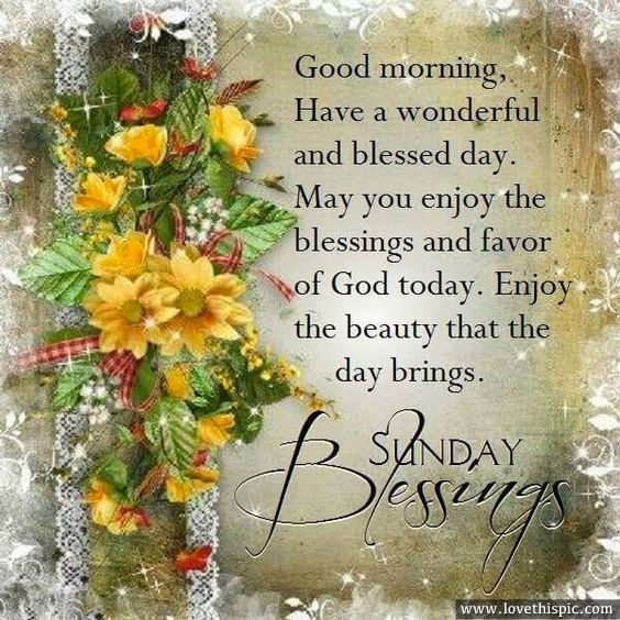 Featured image of post Good Morning Sunday Blessings Images