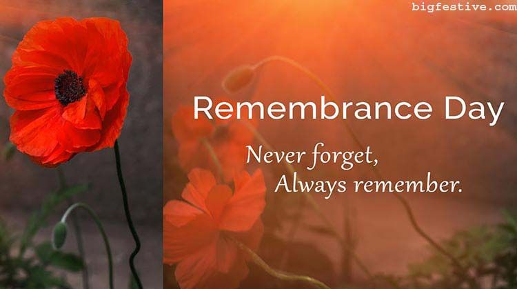 Featured image of post Happy Remembrance Day