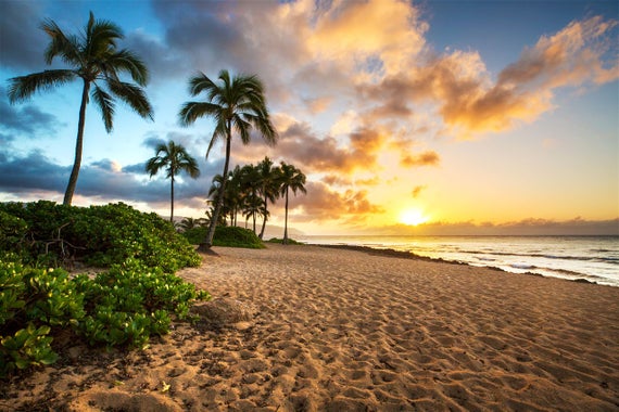Featured image of post Hawaii Beach Pictures Sunset
