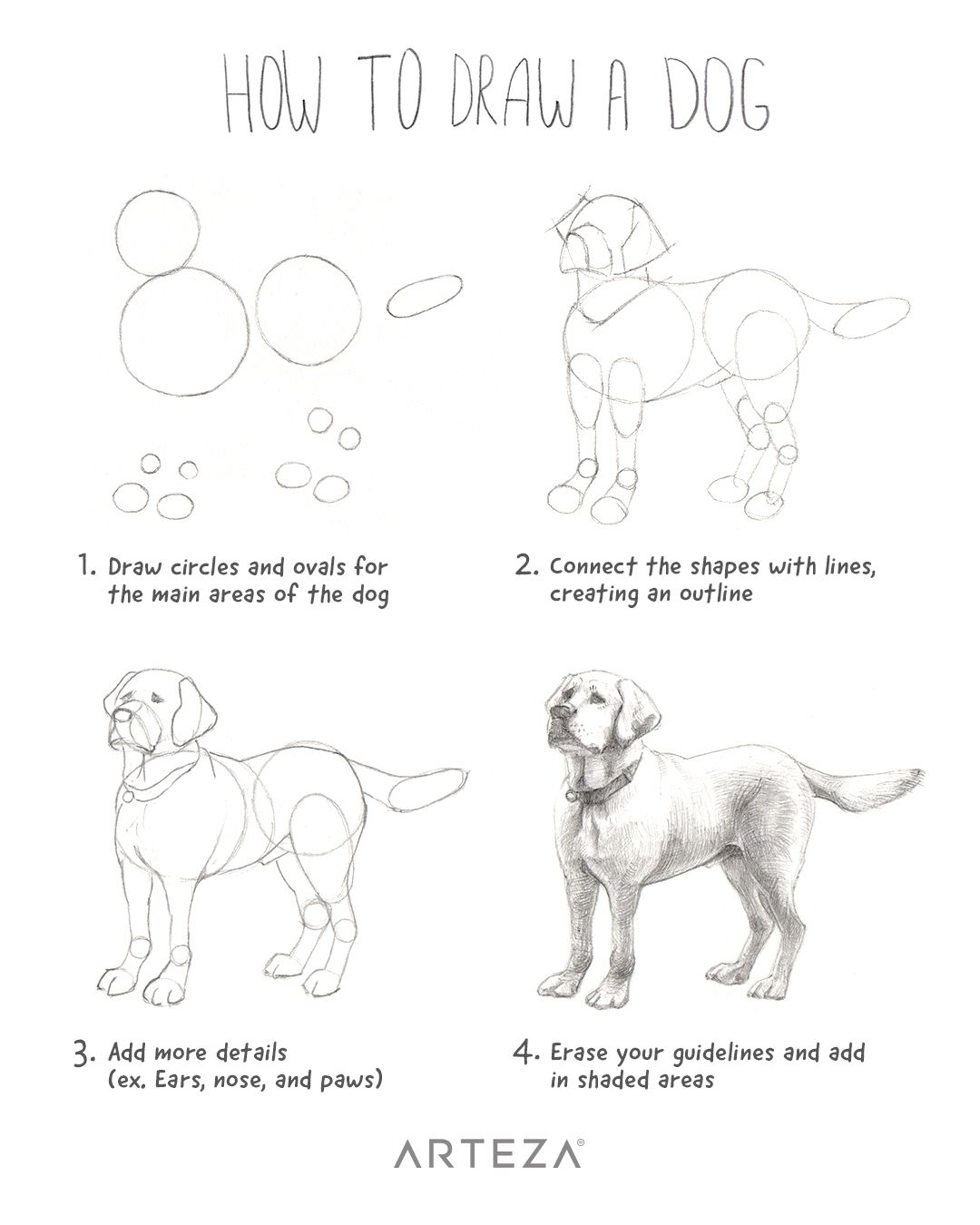 Featured image of post How To Draw A Puppy Step By Step Realistic