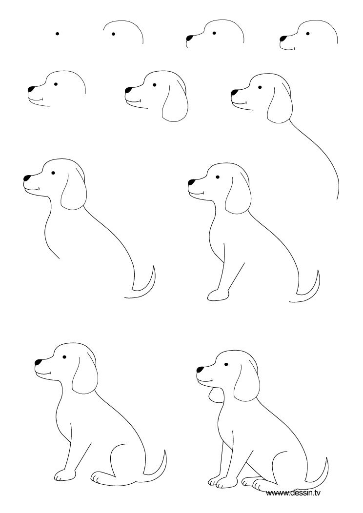 Featured image of post How To Draw A Puppy Step By Step