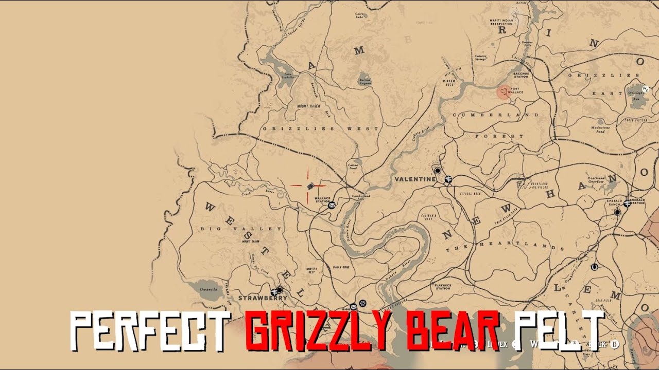 Featured image of post How To Get A Perfect Bear Pelt Rdr2
