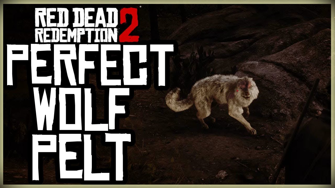 Featured image of post How To Get A Perfect Wolf Pelt Rdr2