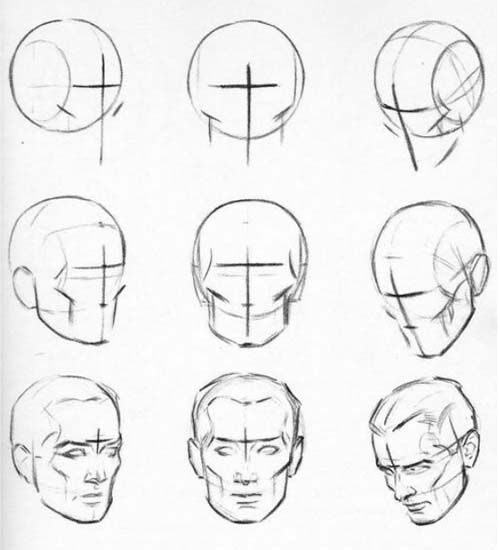 Featured image of post Human Head Anatomy Sketch