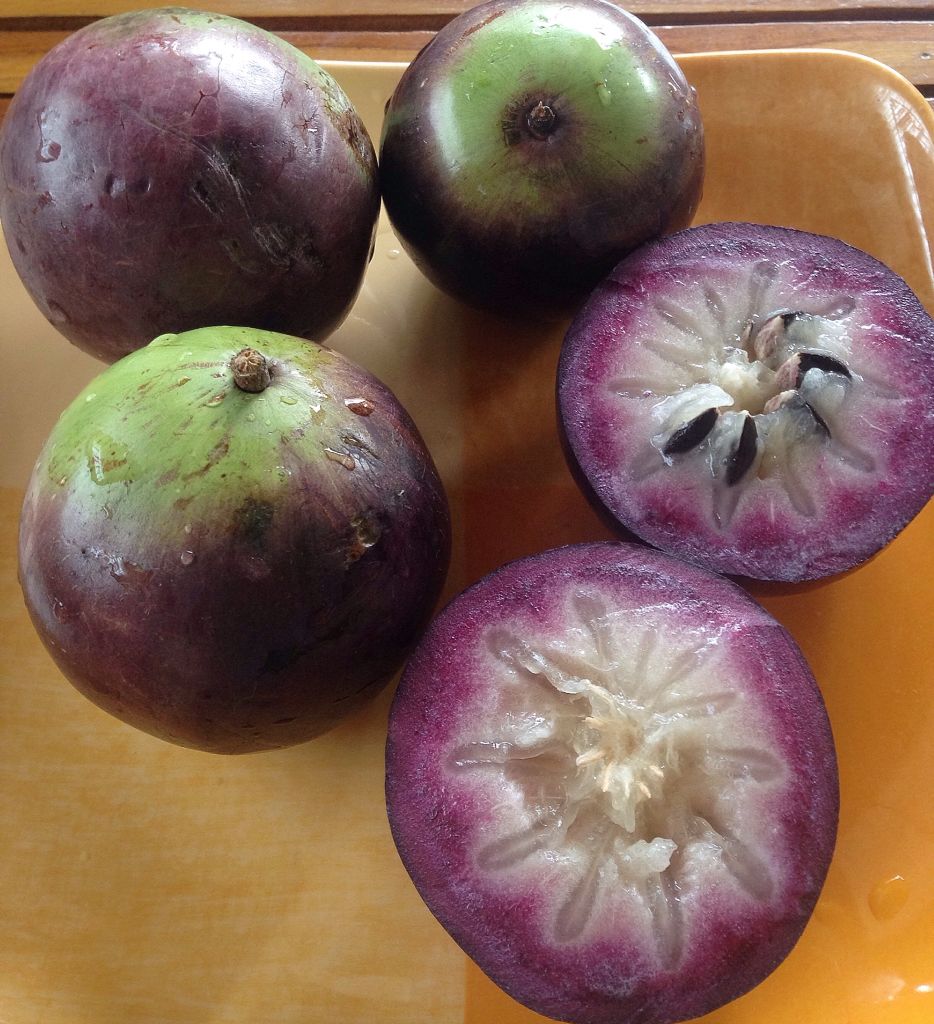 Featured image of post Star Apple Fruit In Tagalog