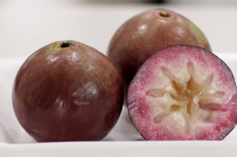 Featured image of post Star Apple Fruit Taste