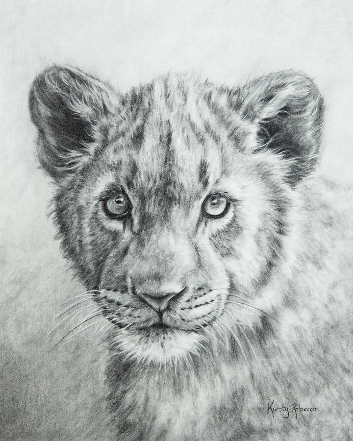 Featured image of post White Lion Cub Drawing