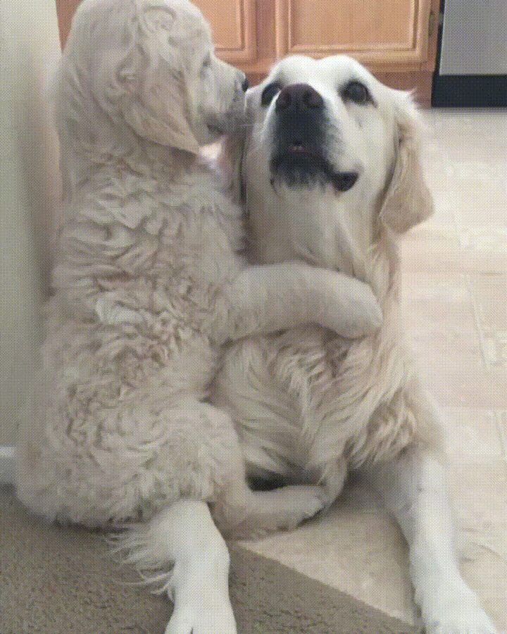 Featured image of post You Mad At Me Gif